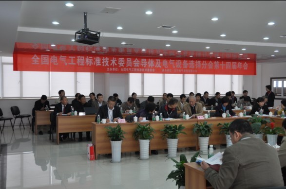全國電氣工程標準技術委員會導體及電氣設備選擇分會2010年會在川開成功舉行